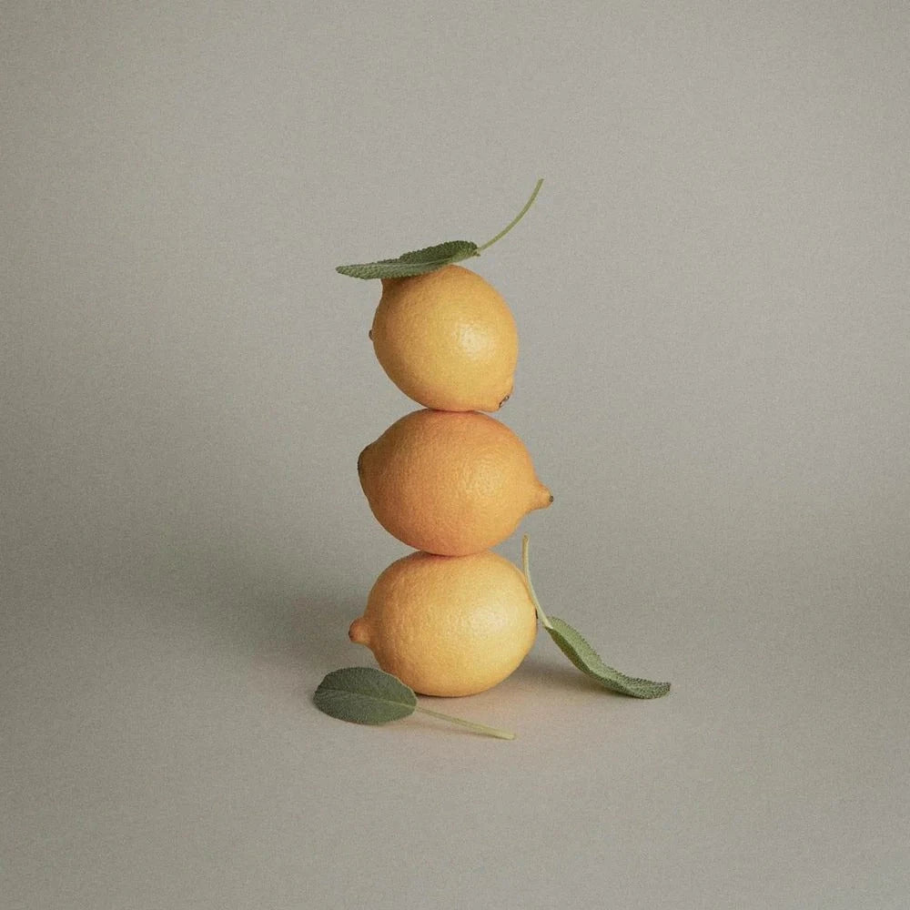 Paul Mitchell Tea Tree Lemon Sage Thickening Shampoo Zitronen